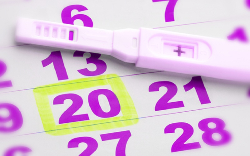 The Baby Gender Calendar To Make A Boy Pregnant