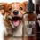 Holistic Healing: Harnessing CBD’s Potential for Dogs’ Health