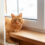 Top 6 Reasons Why Your Cat Prefers One Particular Spot in the House