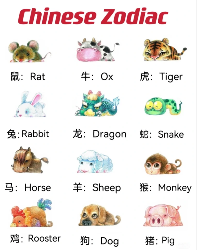 Chinese Zodiac